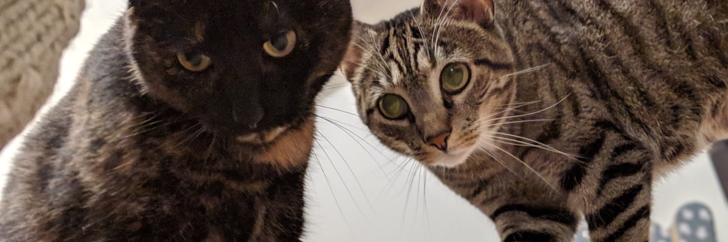 tommyquiche's profile banner image