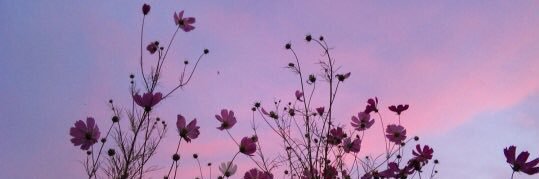 sweet__44's profile banner image