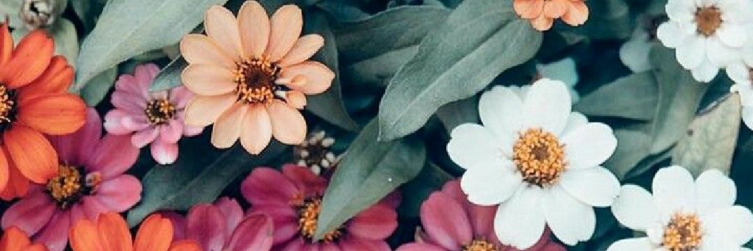 mnusref's profile banner image