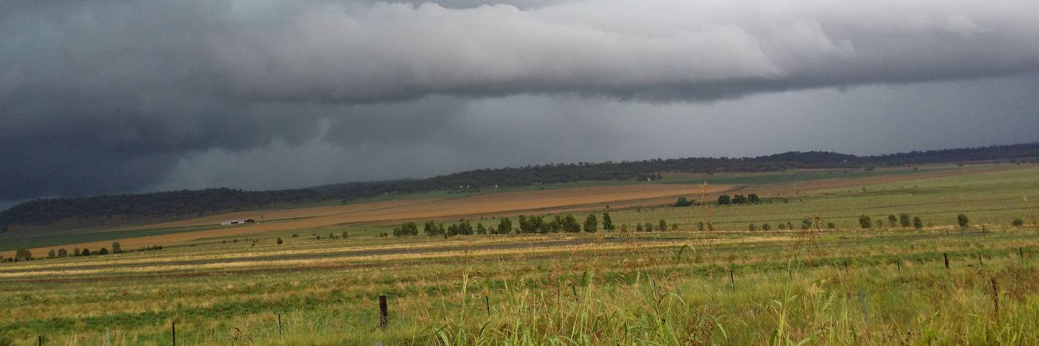 Tim Neale 🇦🇺🇦🇺🇦🇺 banner