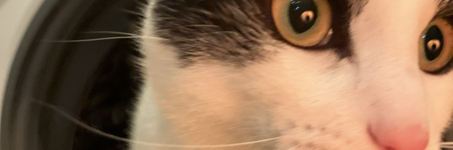 yossy_get's profile banner image