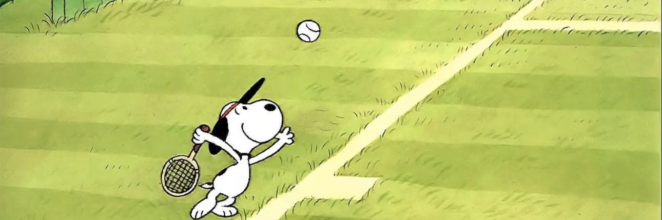 mjlitman's profile banner image