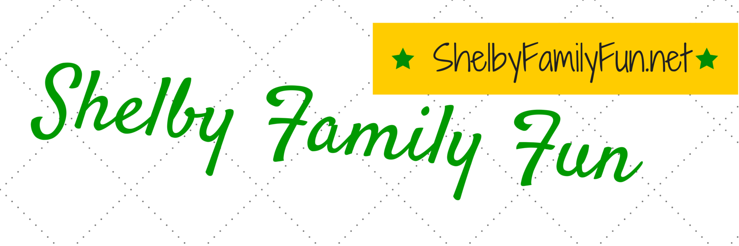 ShelbyFamFun's profile banner image