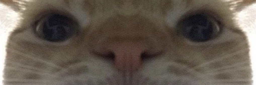 PickeeP29's profile banner image