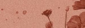 BITESDVST's profile banner image