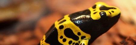 Bilaltok0101's profile banner image