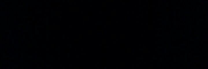 AmericaFirst_71's profile banner image