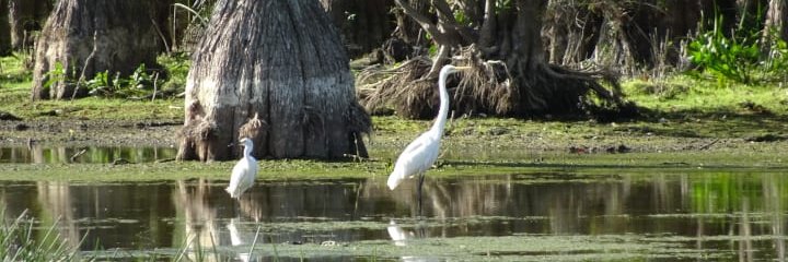 💜💚💛Yippie Ki-Yay💛💚💜 banner