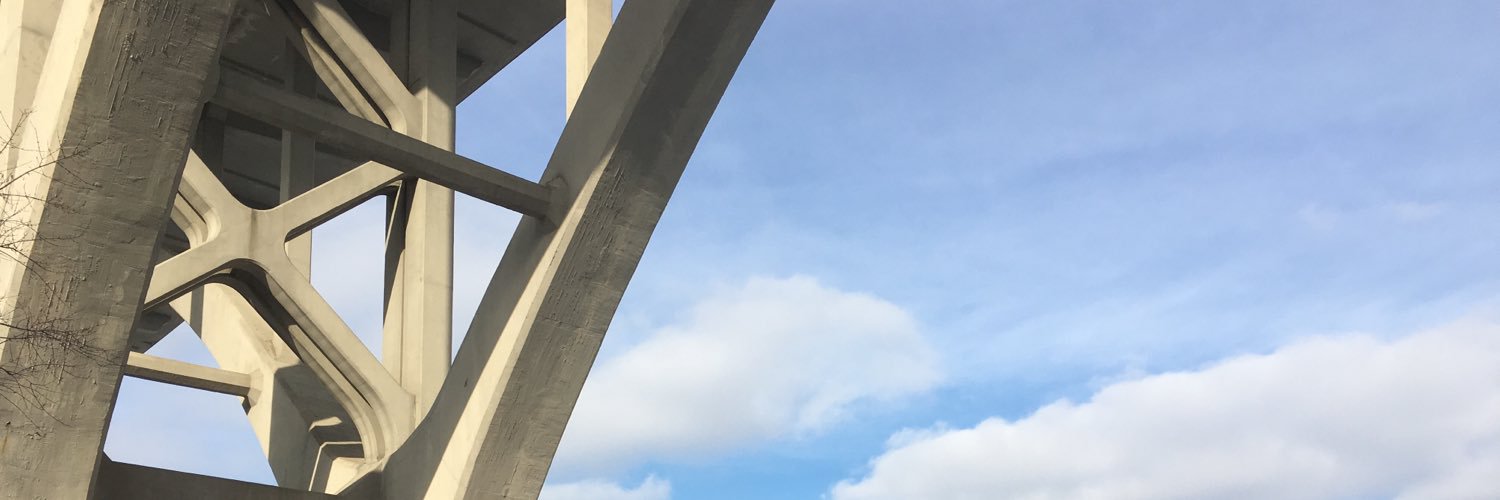 tropicalchik's profile banner image