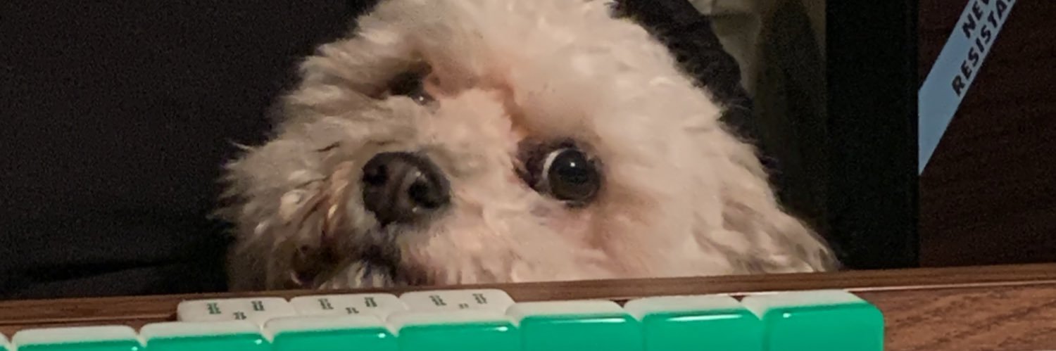 Natalie_Fetchen's profile banner image