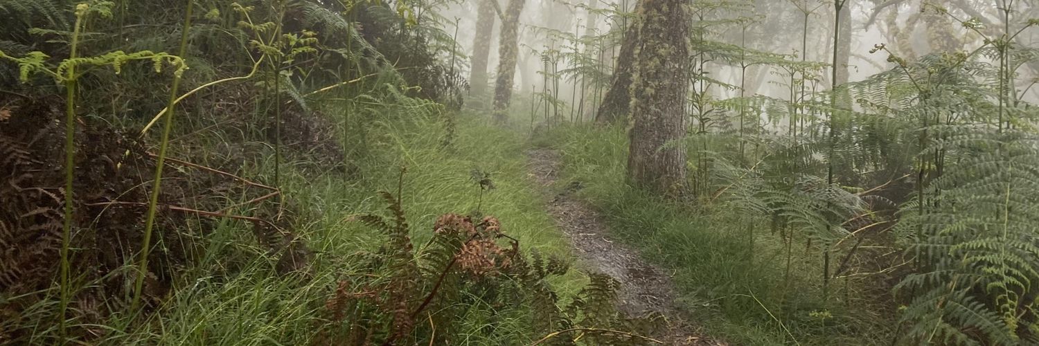 OscarNone's profile banner image