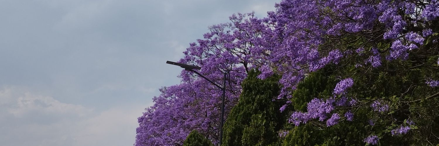 brayam_al's profile banner image