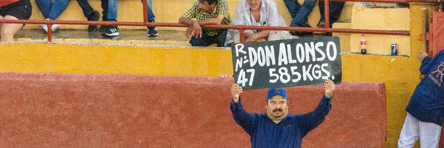 Don Alonso banner