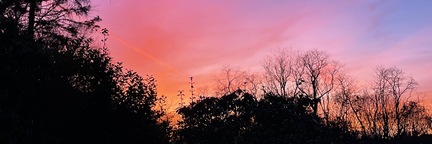 Bethani Cameron banner