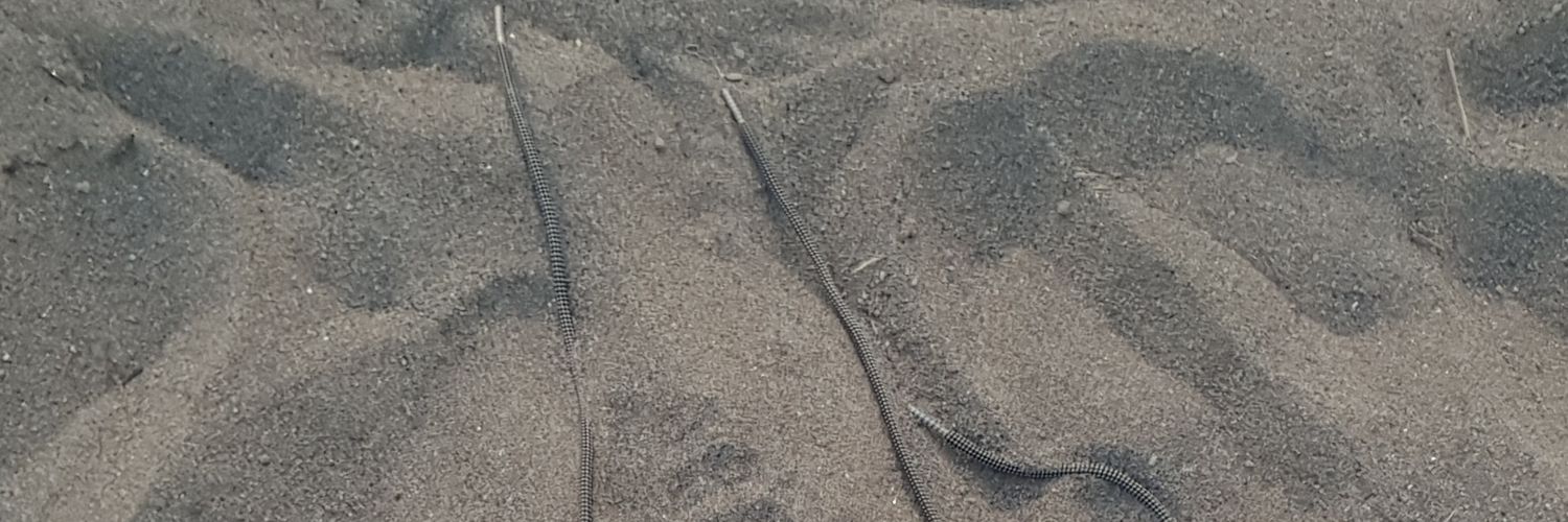 Vladimir Harrkonen banner