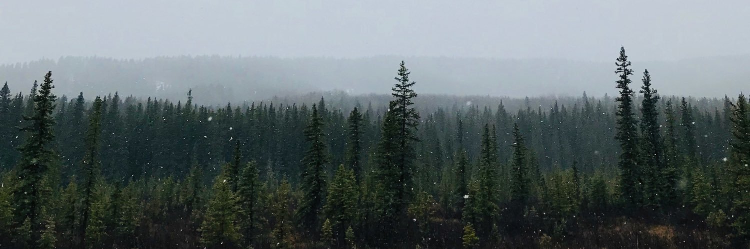 ErenbergB's profile banner image