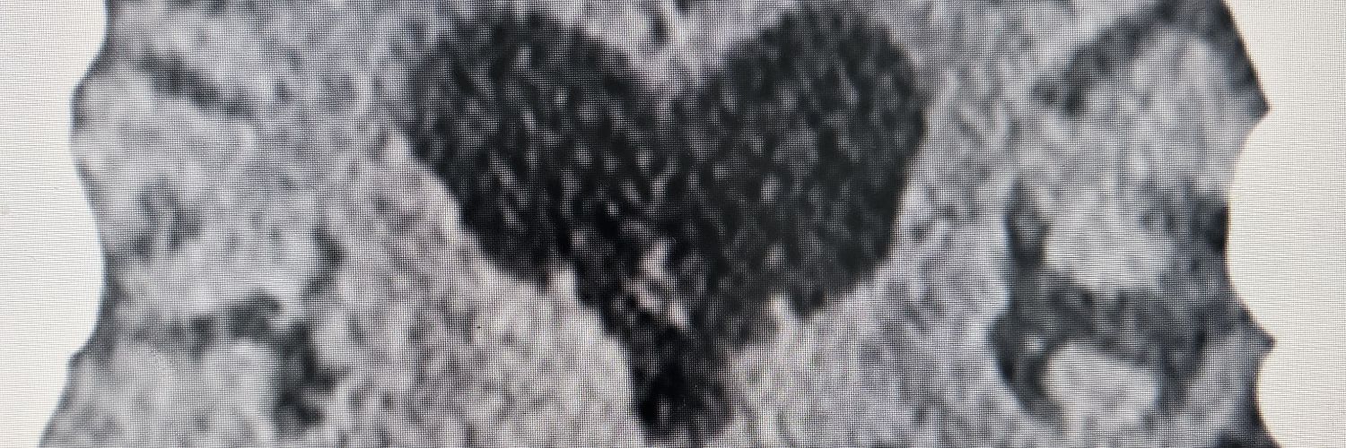 g0ddesright's profile banner image