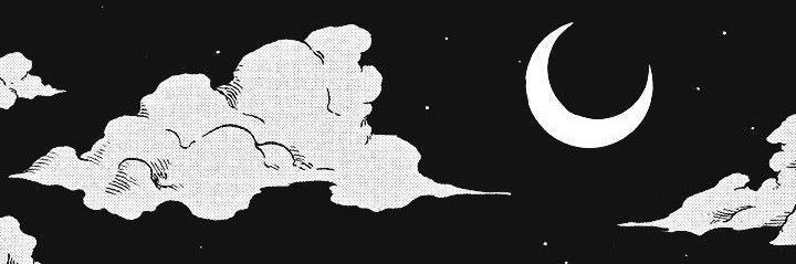 nelly ⏾ banner