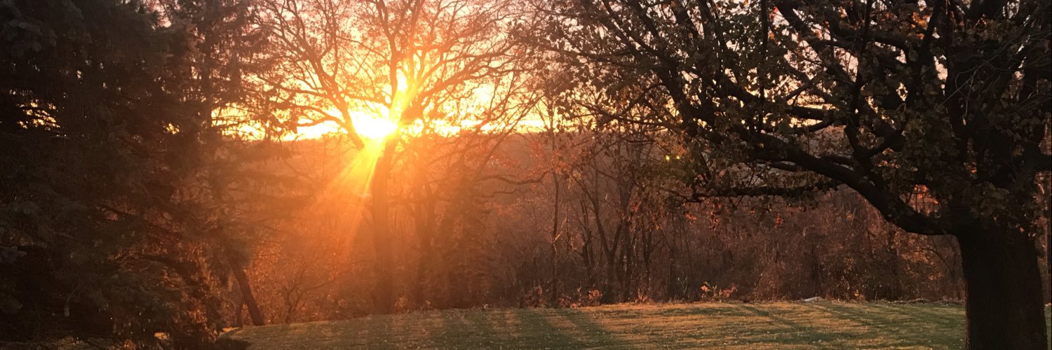 stevengfischer's profile banner image