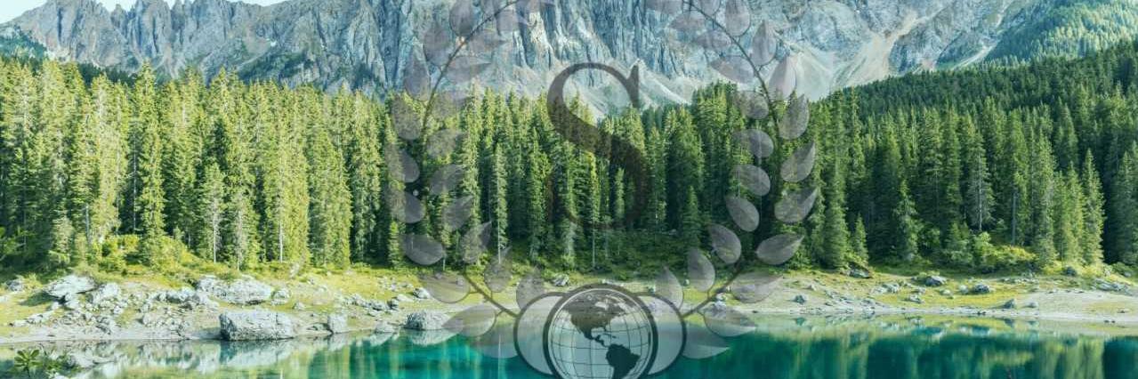 Succentrix's profile banner image