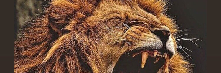 🔱⚡️KING👑♦️ banner