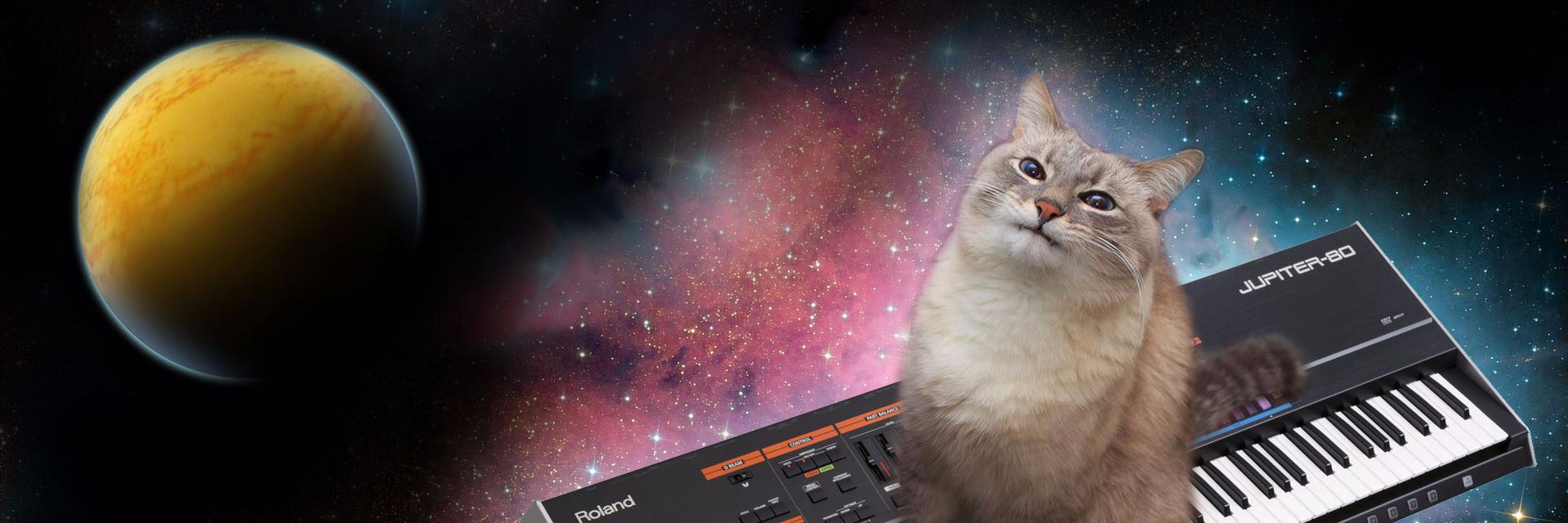 denomcdeno's profile banner image