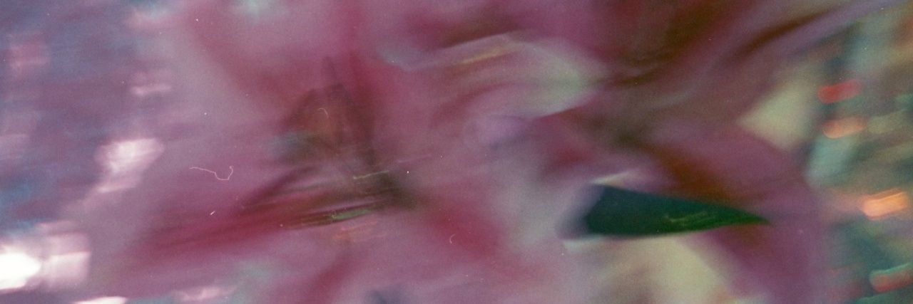 Abby 🦋 banner