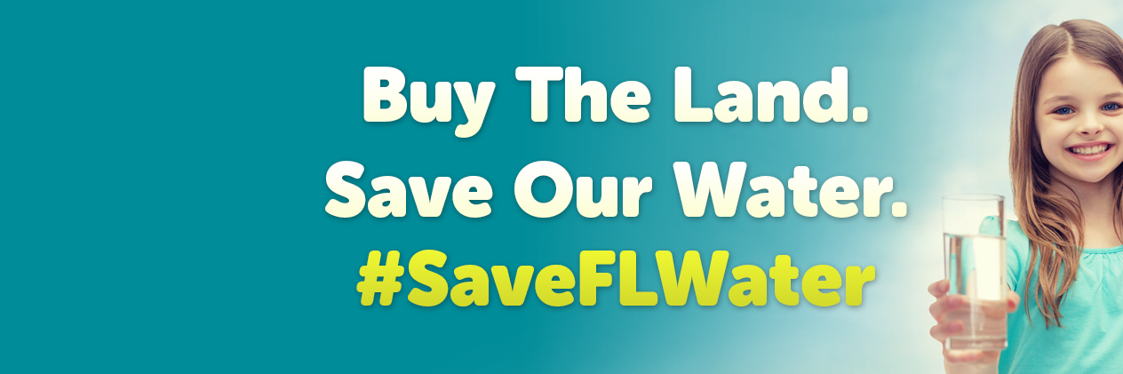 savingFLwater's profile banner image