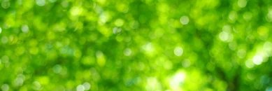 MatthewHoppock's profile banner image