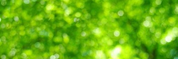 MatthewHoppock Profile Banner