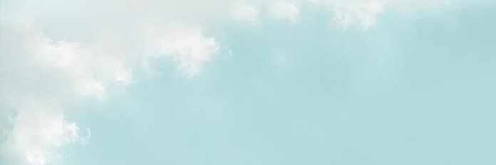 sel banner
