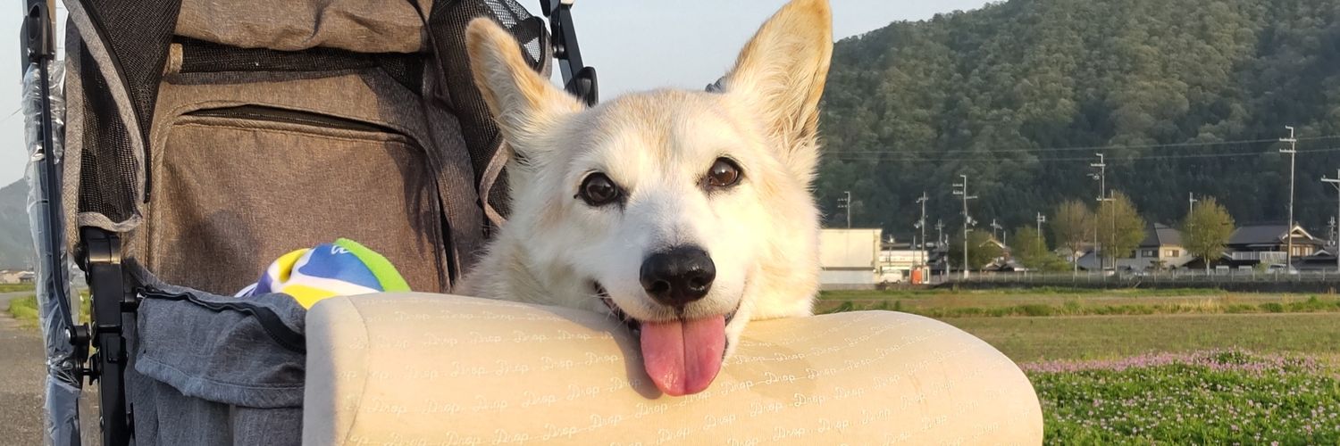 sk_sion's profile banner image