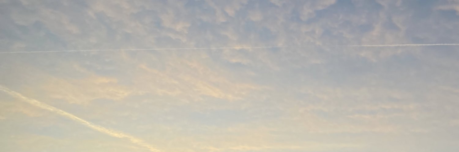 melisachels's profile banner image