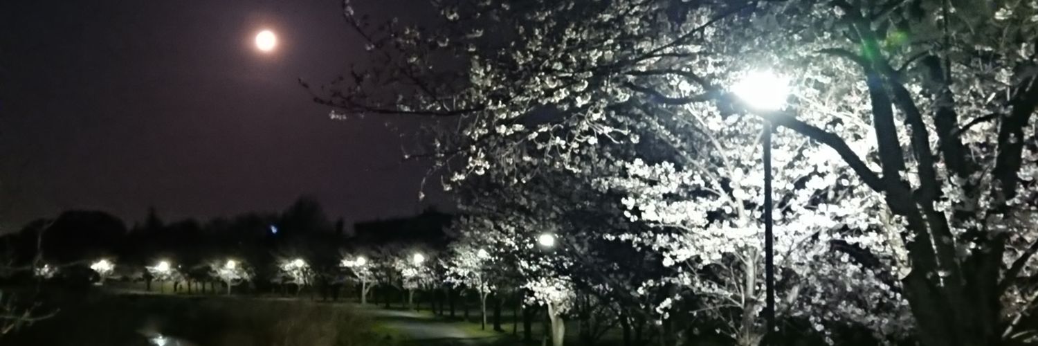 gyarainatto's profile banner image