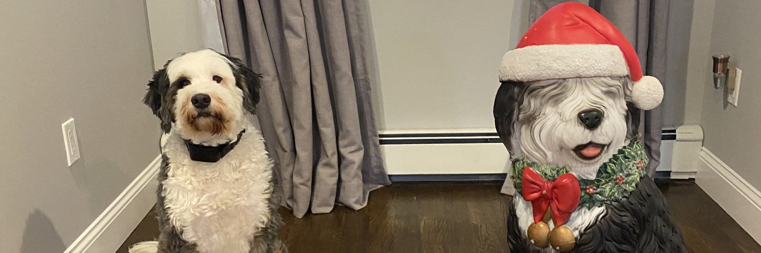 emmatesler's profile banner image
