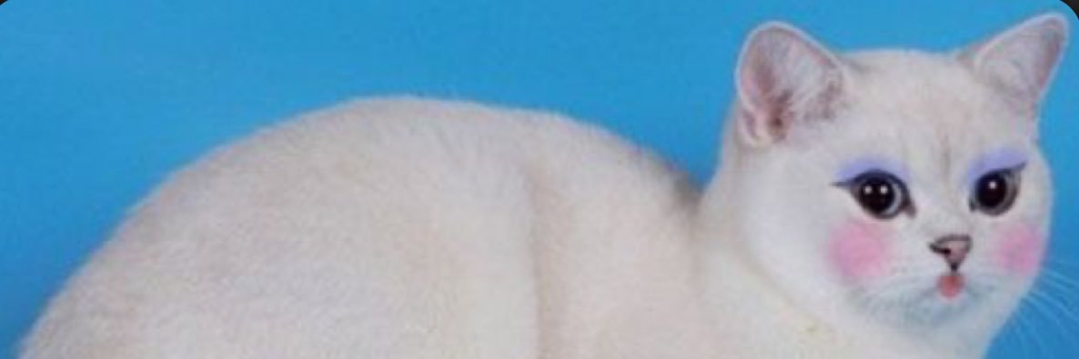 madussaaa's profile banner image