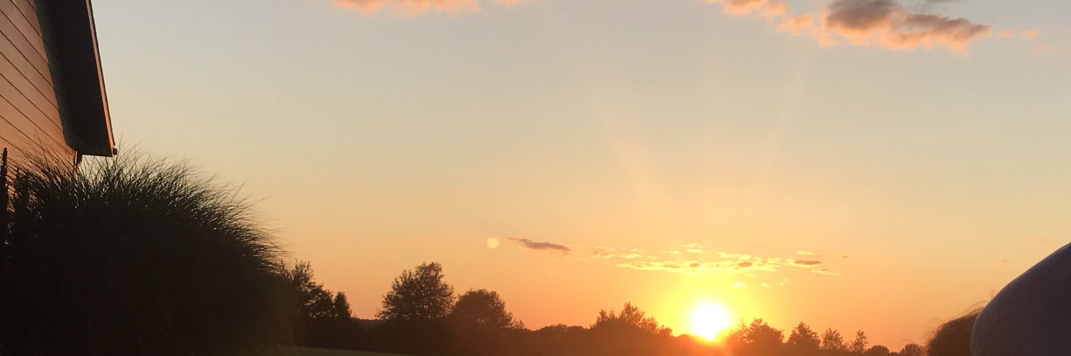 Molly Moore banner