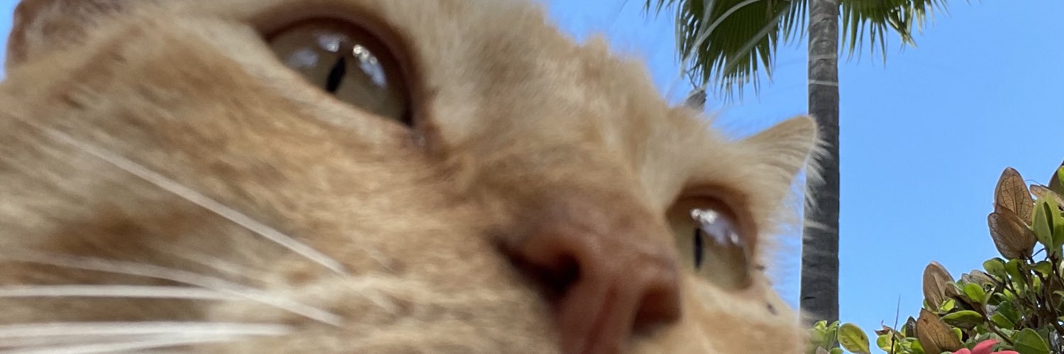 ashleyherd's profile banner image