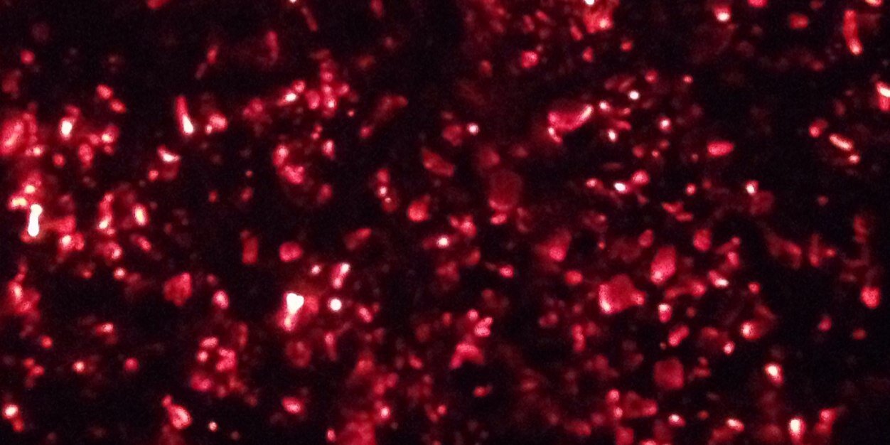 chrisr24060's profile banner image