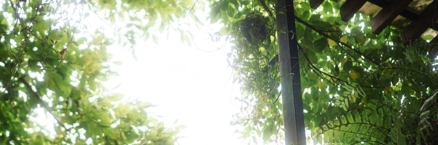 wrxrayy21's profile banner image