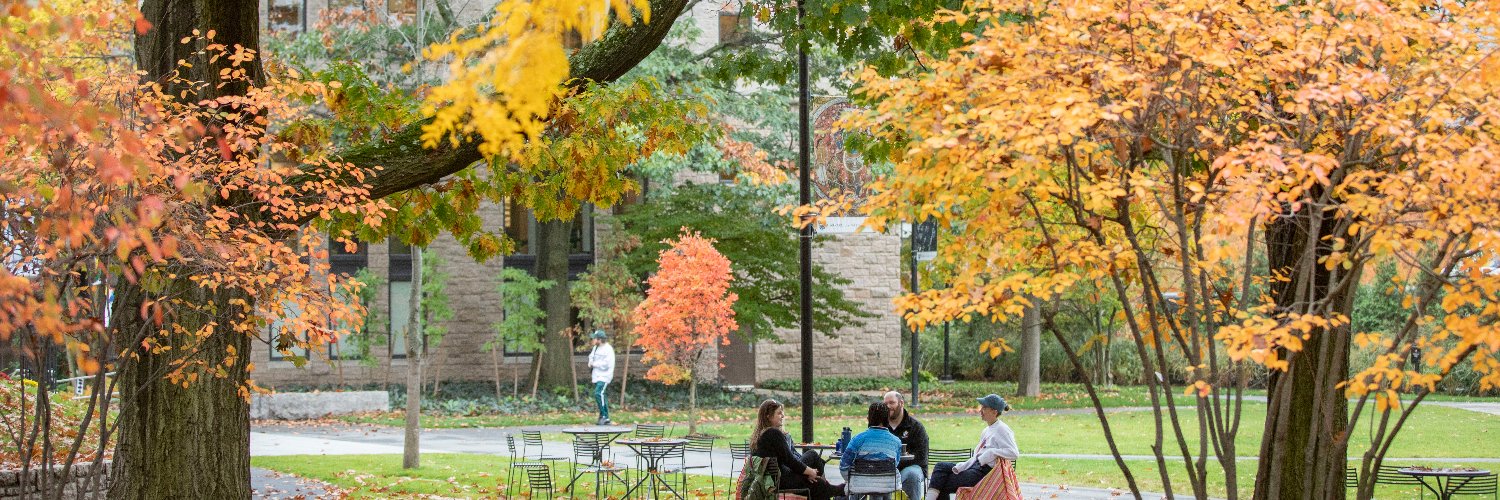 Harvard Local banner