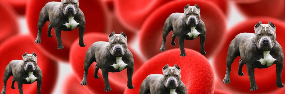 Bundybrackin's profile banner image