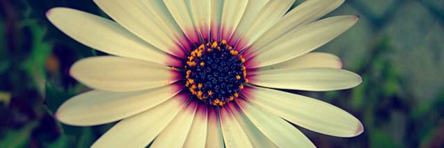 emmetta09's profile banner image
