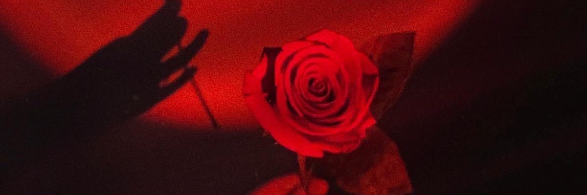 nanamilgi's profile banner image