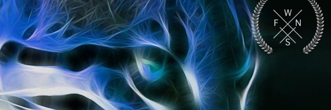 MedZeppelin13's profile banner image