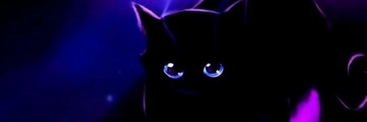 pituka_giuly's profile banner image