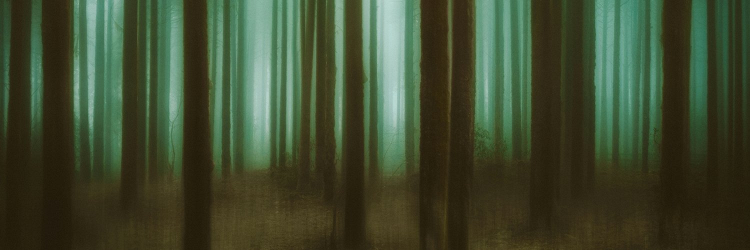 ewarnell379's profile banner image