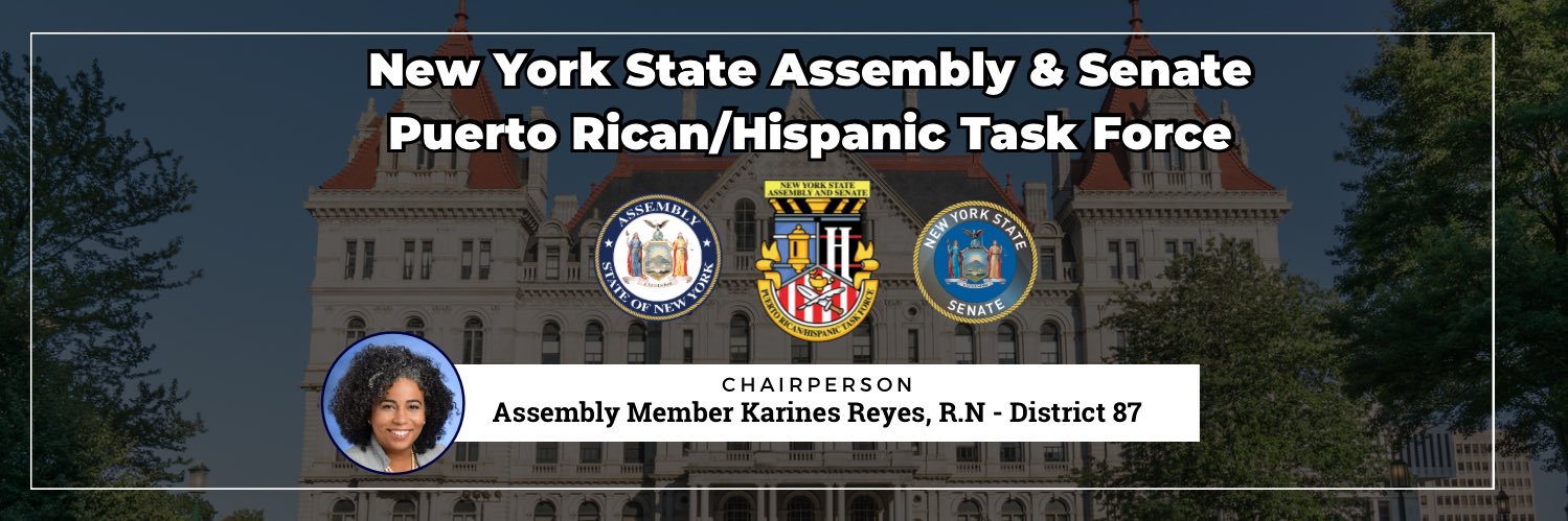 NYS PR/H Task Force banner