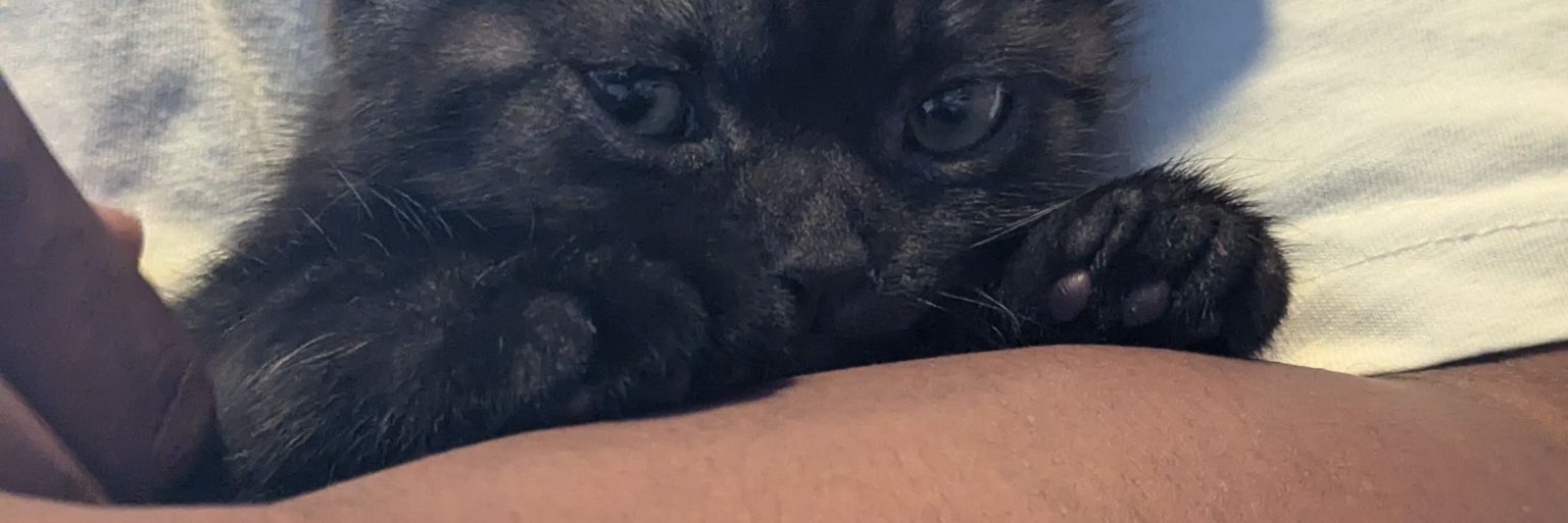 TeeNLeeM's profile banner image