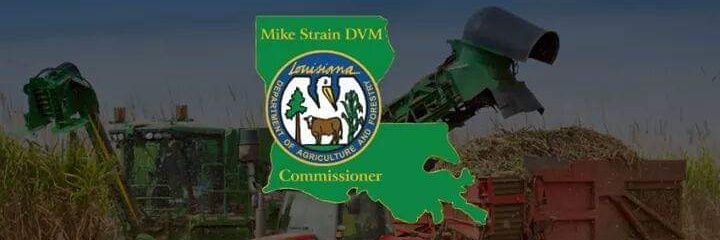 Michael Strain R-LA banner